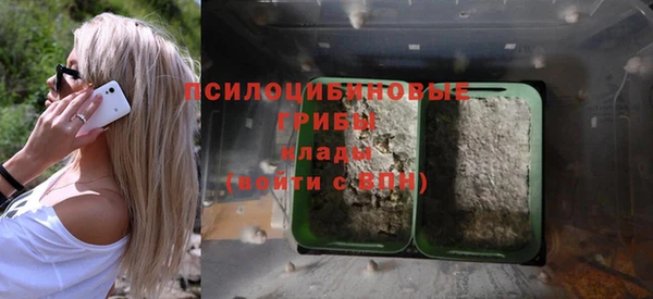 кристаллы Мегион